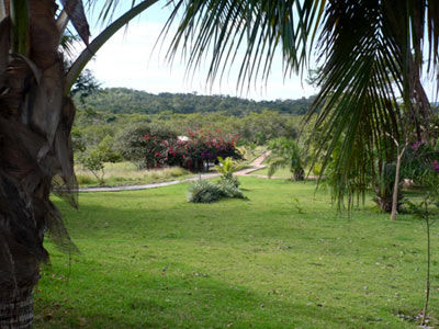 Hotel Fazenda Do Bertione Miranda Kültér fotó