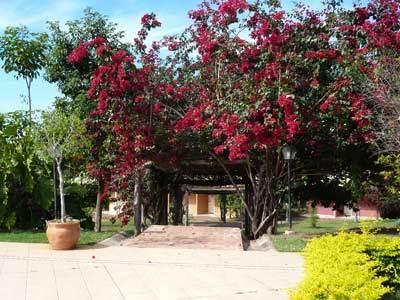 Hotel Fazenda Do Bertione Miranda Kültér fotó